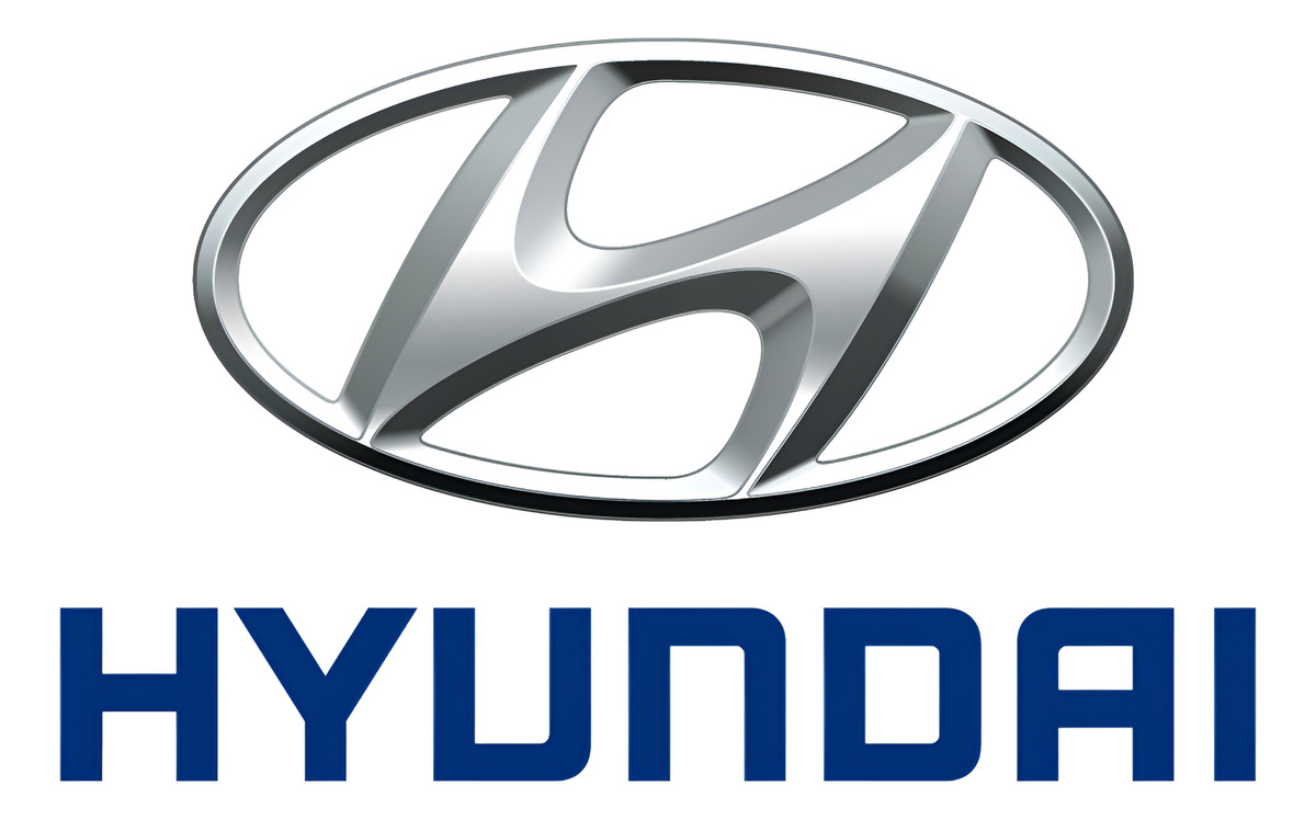 Subconjunto Para Hyundai Tucson Sportage 05-10 Nafta G4gc
