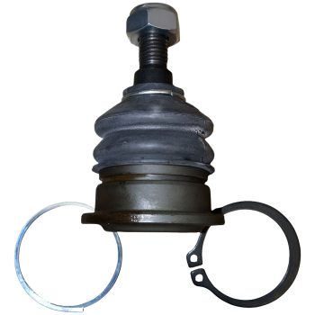 Rotula Superior Honda Accord 1998-2002 Y 2008-2012 555