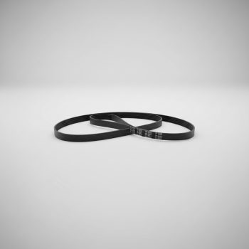 Correa Poly V Para Ssangyong Istana 2.9 1998 2002