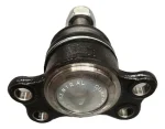 D_890445-MLA111399966265_052026-O.jpg