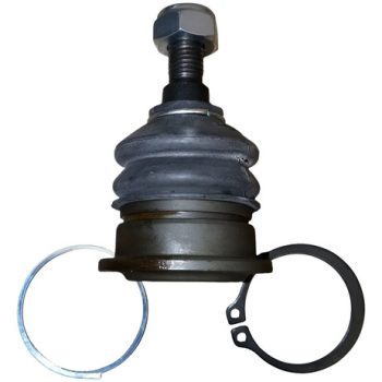 Rotula Superior Honda Accord 1998-2002 Y 2008-2012 555