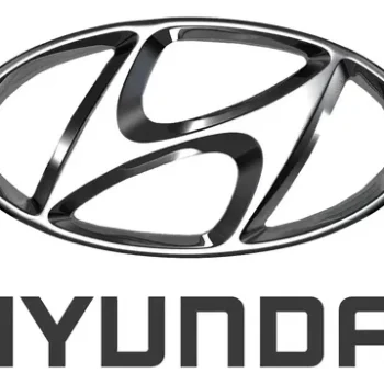 Parrilla Inferior Der- Recta Para Hyundai Genesis 13/18