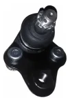Rotula Inferior Delantera Toyota Rav4 2000-2005