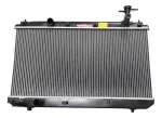 Radiador De Agua Chery Tiggo 3 1.6 2016-2018 Caja Manual