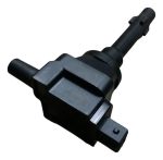 D_875493-MLA77491235372_072024-O.jpg