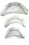 D_982366-MLA102895128749_122025-O.webp
