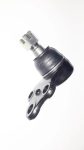 Rotula Inferior Nissan Pathfinder R50 97-2004 Safety Japon
