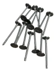 Kit 16 Valvulas Chery Tiggo 2.0 08/15 Nafta 16v - Sqr484