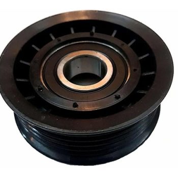 Polea Tensor Automatico Correa Aux. Chery Tiggo 2.0 08 / 15